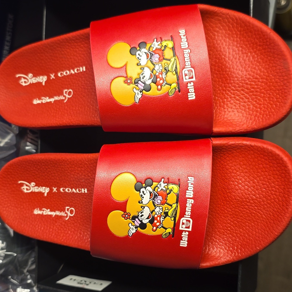 Coach  slides
